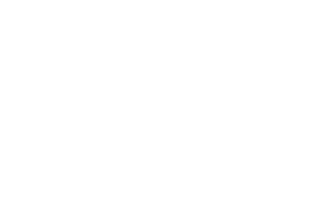 bright college all-white logo
